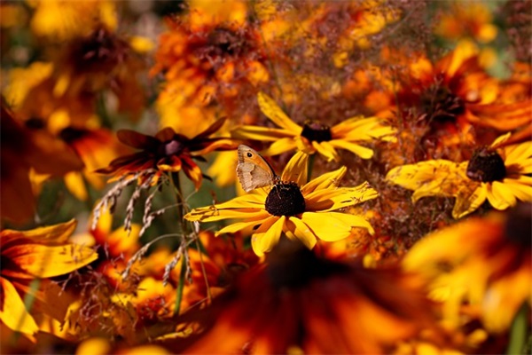 个性网名女生游戏