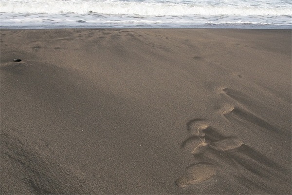 可爱的简约网名女生