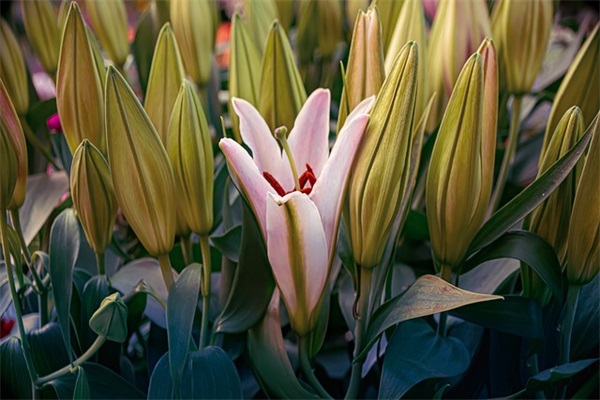 网名个性网四字