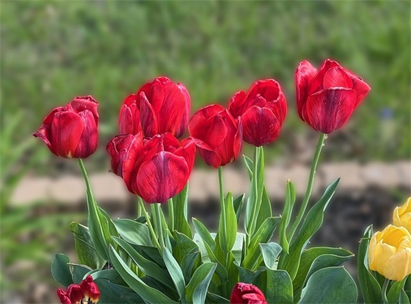 软件项目管理论文