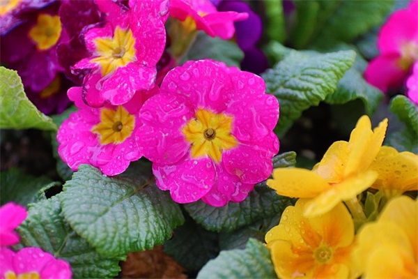 带地点的网名推荐女生