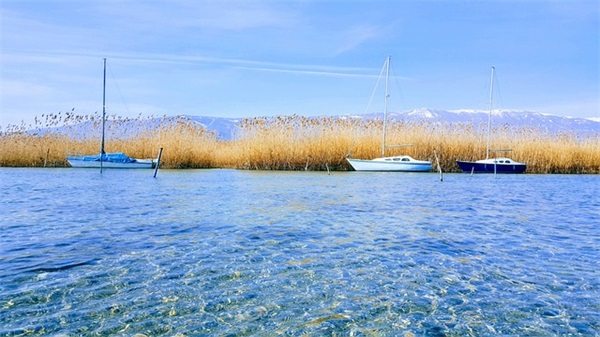 带旧人名字的网名