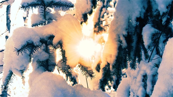 带世陌的5字网名