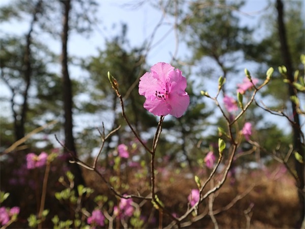 带锁女生的网名