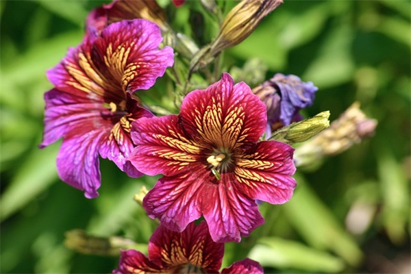 带业含有诗意的网名