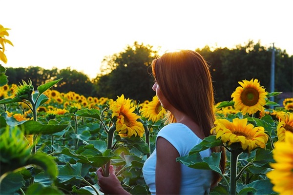 昵称带食物表情的网名男