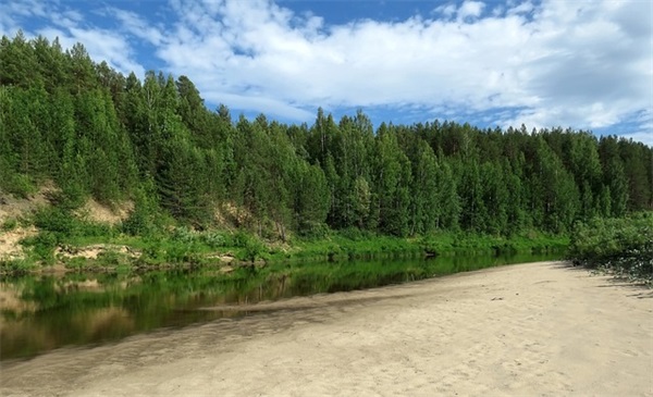 皇族战队的英文名字 [77个]