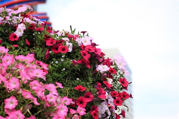 虾米音乐四字网名(优选282个)