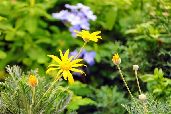 简单而不失格调的网名(精选280个)