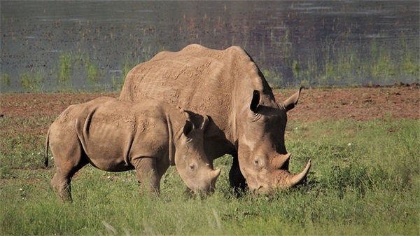 大气又低调的昵称大全(共285个)