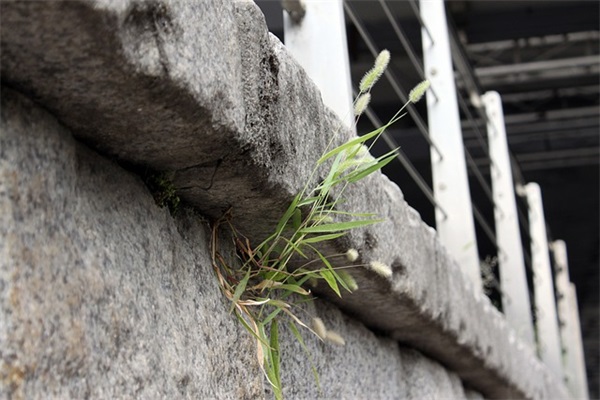 全新三字甜美的女孩昵称两个字(共315个)