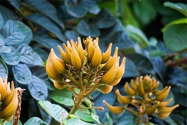 阳光成熟的网名(优选274个)