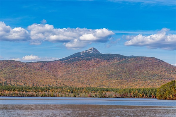 对女朋友表达爱的话91句