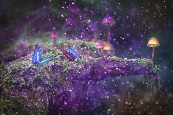 对女友表达爱意的话90句