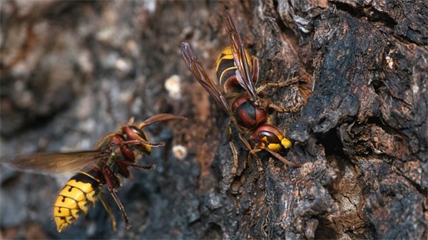 一句打动女孩子的情话100句