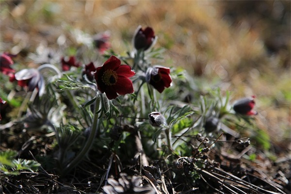 女生最想听的话100句