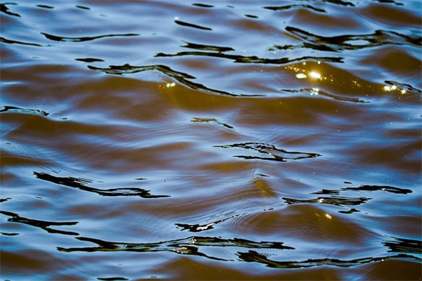 暧昧的留言给女生103句