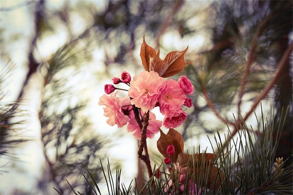 逗女孩子笑话大全82句