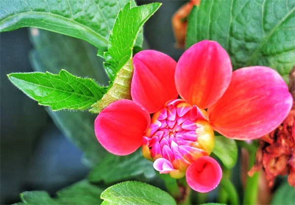 大学毕业感人的话91句