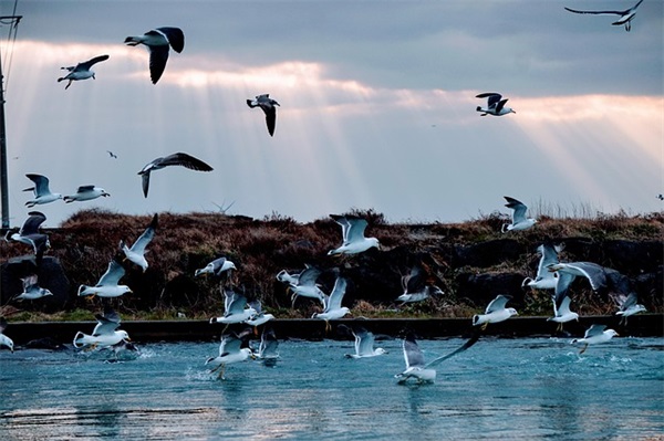 好听的情话短句86句