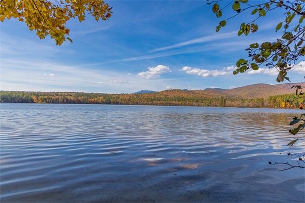 愚人节微信笑话81句