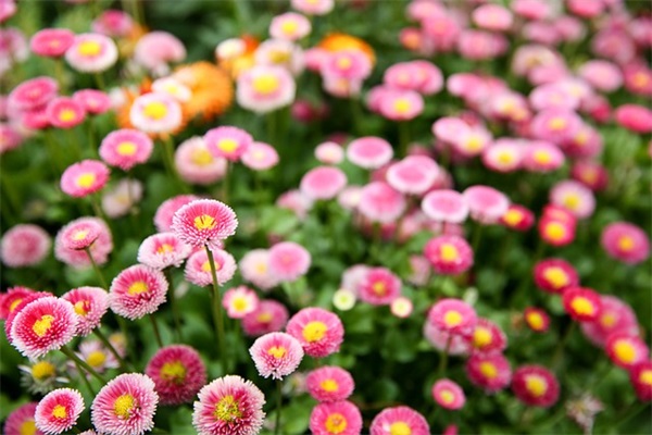 描写伤心难过的句子2025