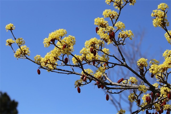 哄女人开心的话幽默情话 暖心幽默简短的句子
