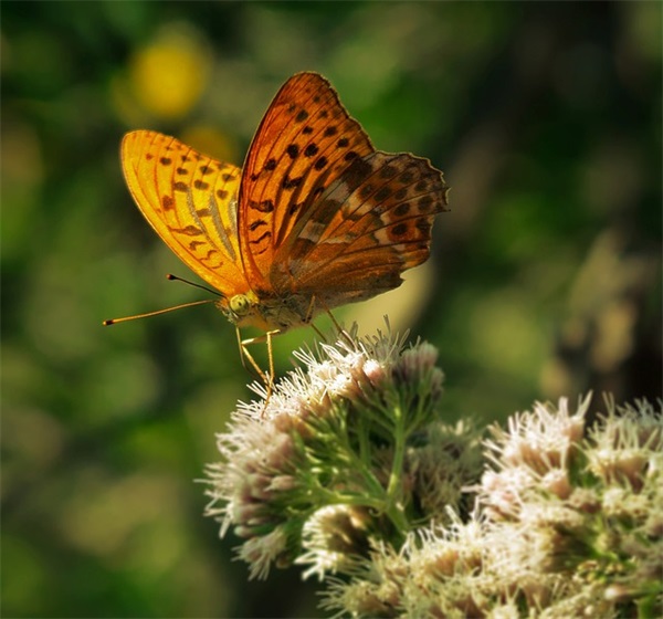 抖音个人简介最好的句子正能量(抖音简介最好的句子简短)