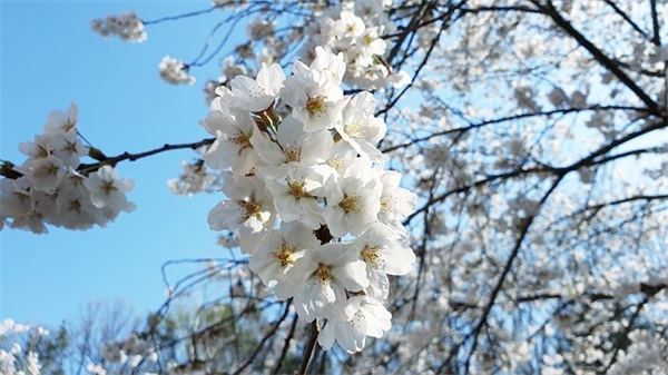 暖心给朋友道晚安的句子 给朋友晚安的暖心句子