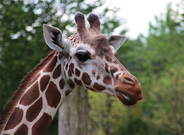 最痛心伤感的句子94句