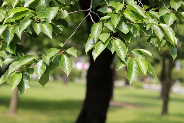 给女朋友的暖心句子