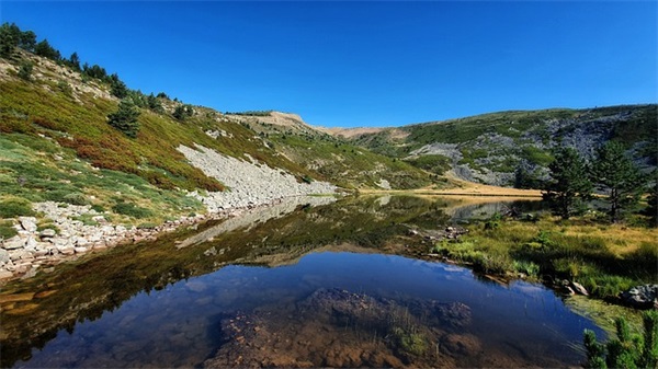 qq伤感性句子80句