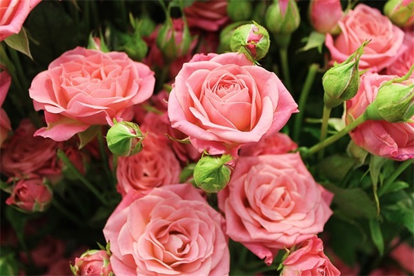 给老师加油打气的话语 关于为班主任加油的句子