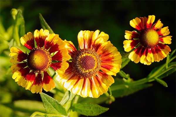 令人感动的友谊句子