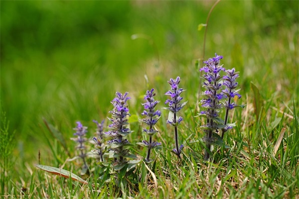 新的一天新的希望正能量的句子(新的一天加油励志句子)