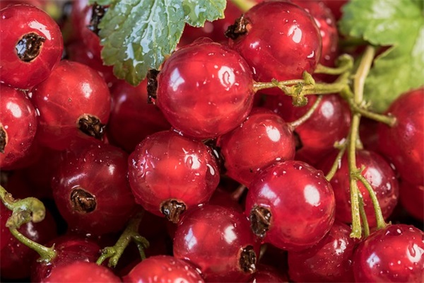写雨很大的句子