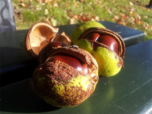 面对灾难的励志句子165句