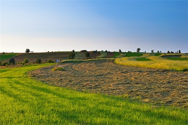 代表心情的句子80句