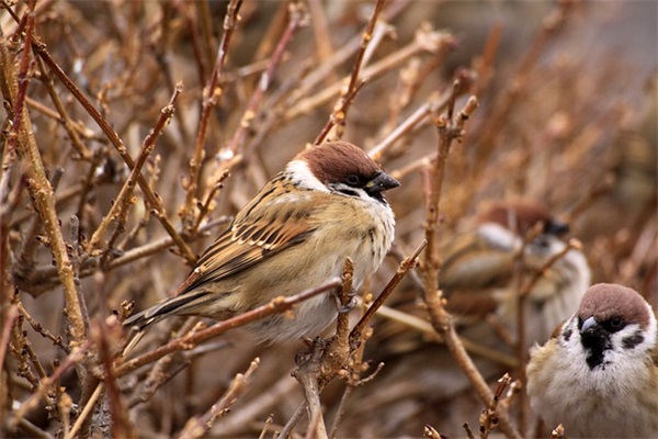 形容美食诱人的句子汇总