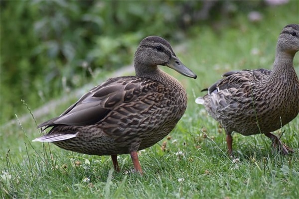 励志的句子长篇励志