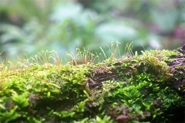 爱情长跑完美句子 七年爱情长跑的句子