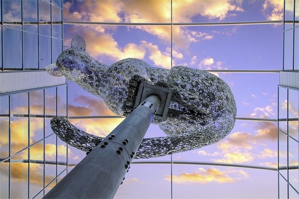 心情阳光的句子85句