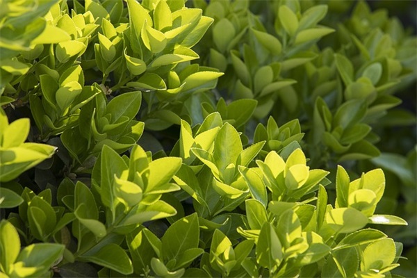 兼职赚钱励志的句子