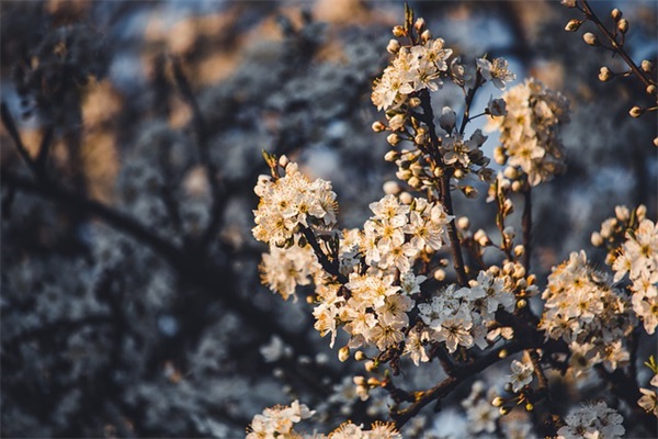 霸气心情句子30句