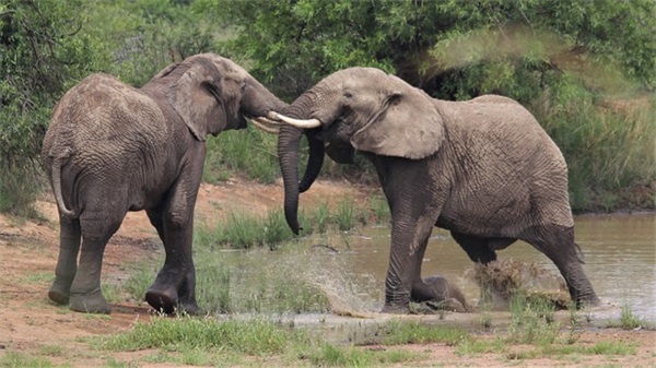 催婚的心情句子通用