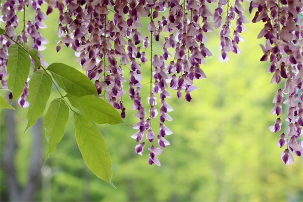 2025赞美劳动的简短句子 2025最精辟的句子