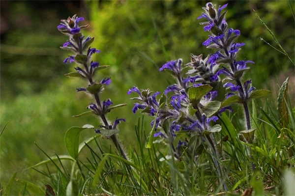 建军95周年文案句子 建军95周年文案