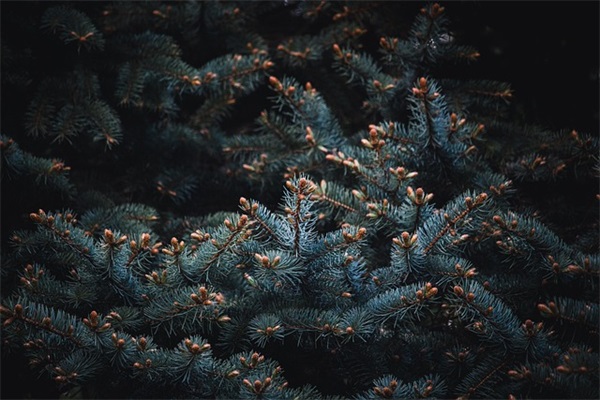 smile微笑网名(精选49个)