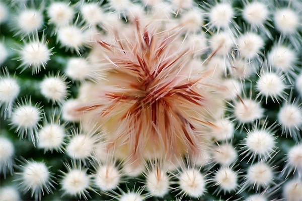 好听的古诗网名