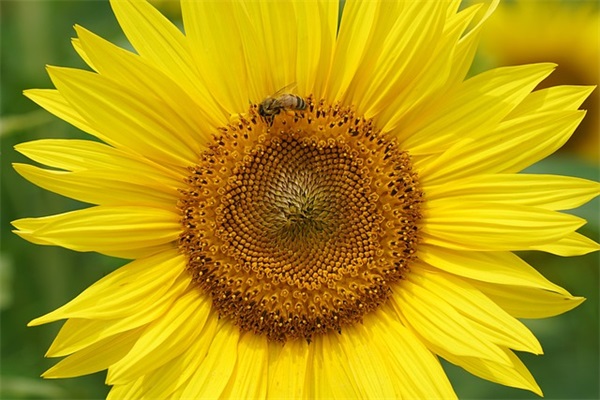 适合聊天的幽默句子46句